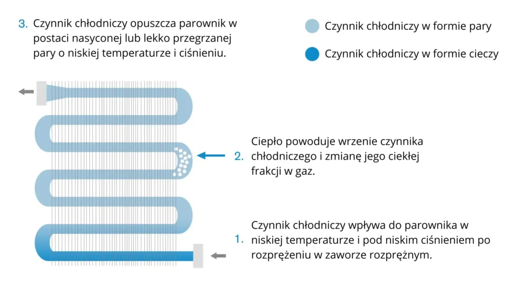 jak dziala parownik 1024x576