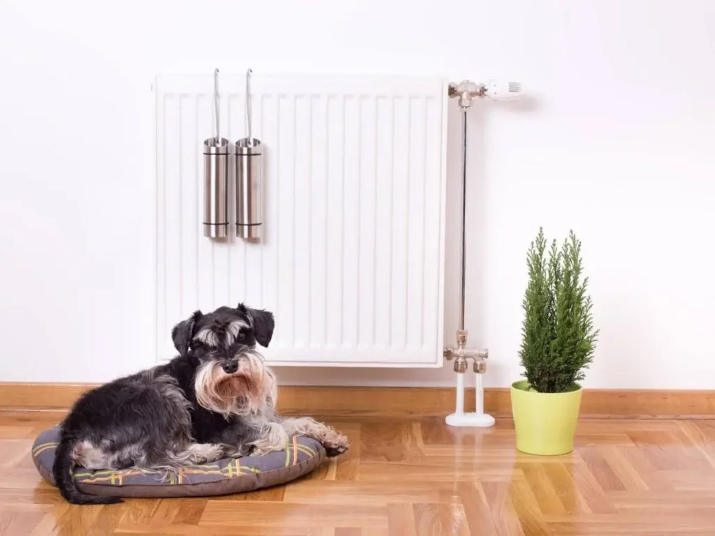 Ciepło w mieszkaniu  – Jaka jest optymalna temperatura w domu?