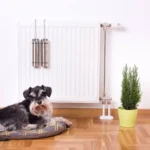 Ciepło w mieszkaniu  – Jaka jest optymalna temperatura w domu?