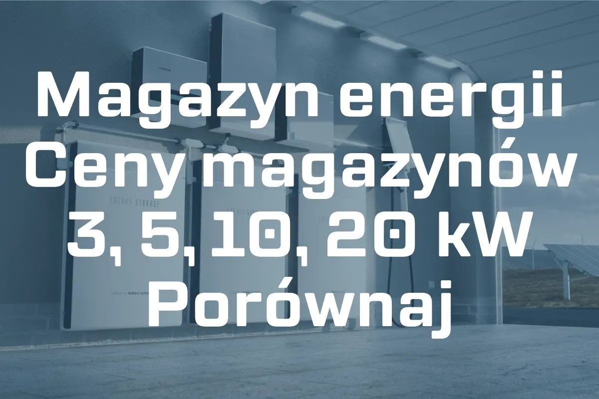 Zdjęcie przedstawia magazyn energii w garażu.